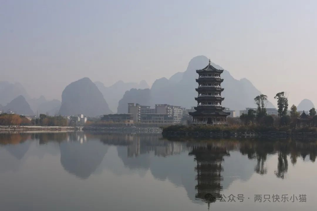 广东点心萝卜糕_广西萝卜糕点_广式点心萝卜糕做法