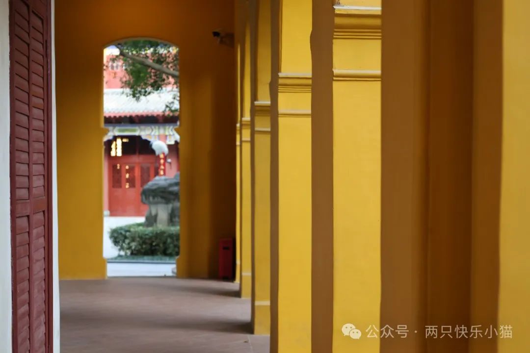 广式点心萝卜糕做法_广西萝卜糕点_广东点心萝卜糕