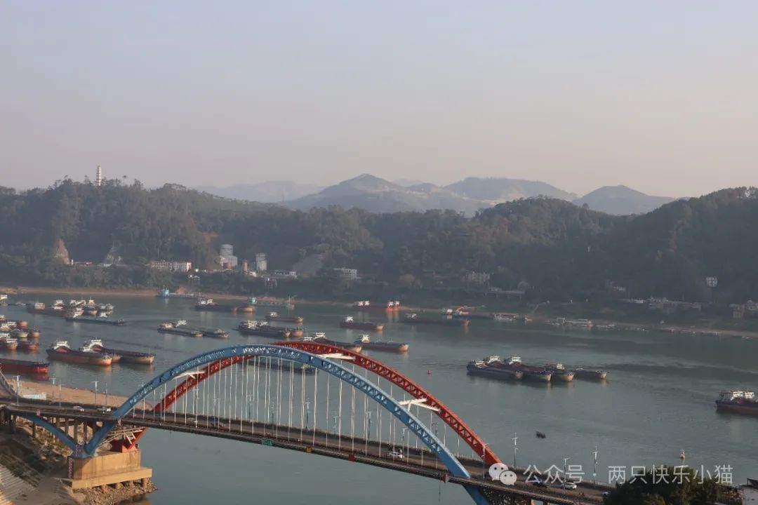 广西萝卜糕点_广式点心萝卜糕做法_广东点心萝卜糕