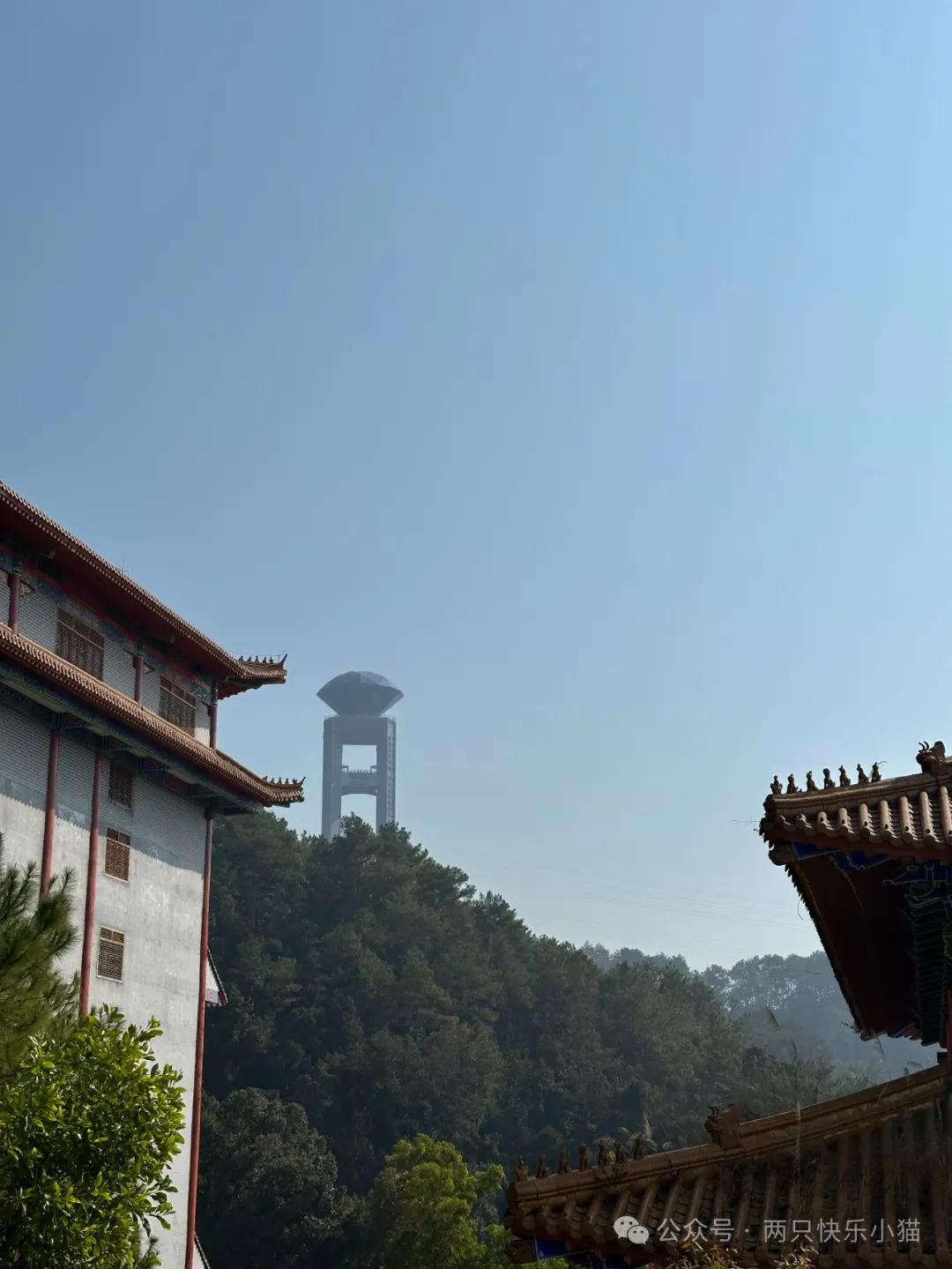 广式点心萝卜糕做法_广西萝卜糕点_广东点心萝卜糕