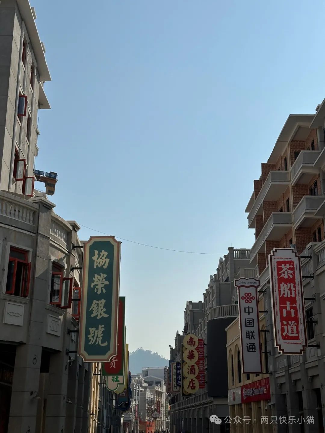 广式点心萝卜糕做法_广西萝卜糕点_广东点心萝卜糕