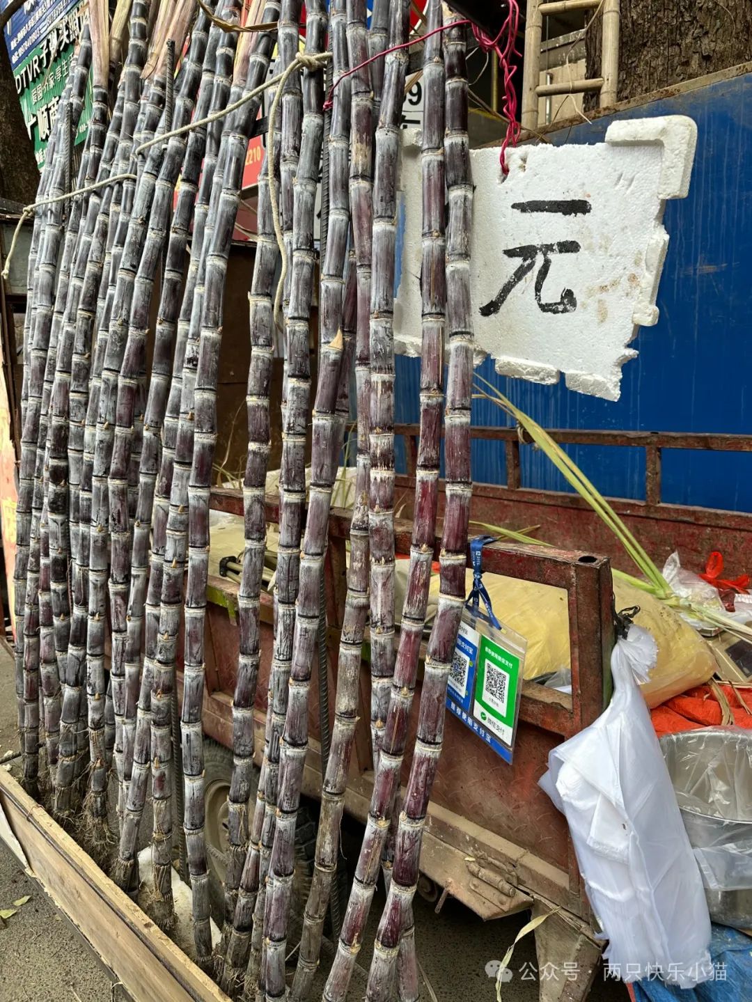 广东点心萝卜糕_广式点心萝卜糕做法_广西萝卜糕点