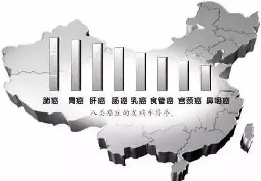 患癌后如何生活_生活方式与癌症_二哈患癌的生活方式