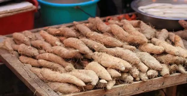 潮汕美食视频集锦_潮汕美食制作过程_潮汕地区做美食