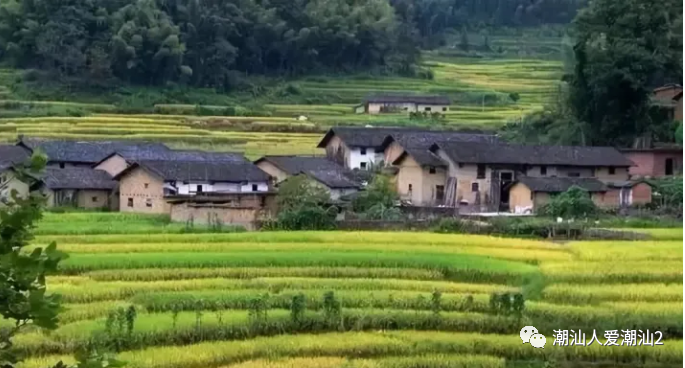 潮汕地区做美食_潮汕美食制作_美食潮汕地区做什么好吃