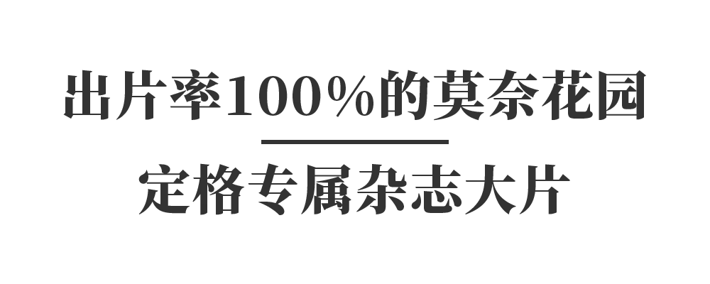 餐厅茶水柜_莫茶餐厅_餐厅茶杯多少毫升