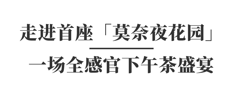 餐厅茶水柜_餐厅茶杯多少毫升_莫茶餐厅