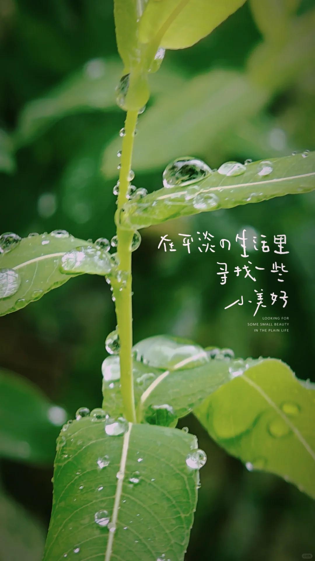 如何改善生活水平_改善生活的技巧_改善生活的方法