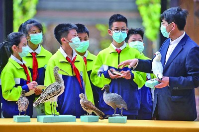 绿色生活方式调查目的_绿色生活方式调查表_绿色调查报告