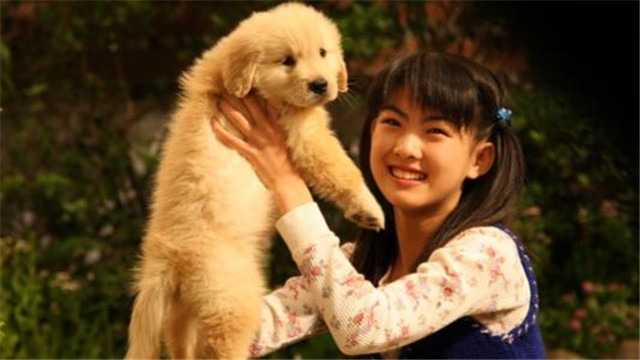 生活技能曾仕强_曾仕强技术_曾仕强能力和本事