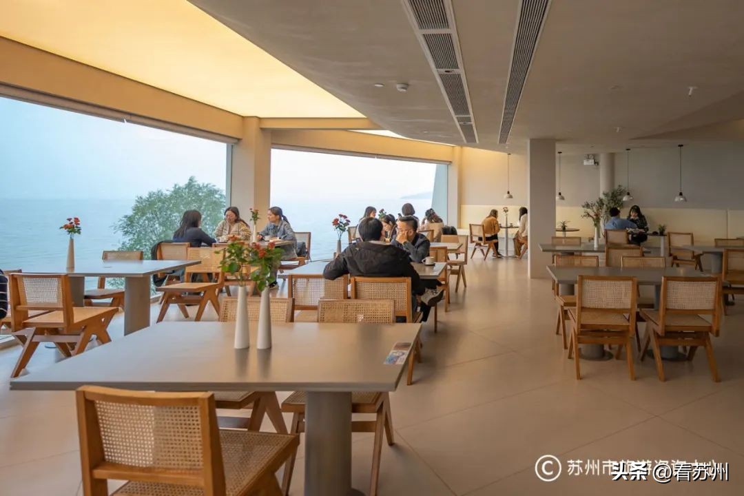 猫咖啡店图鉴_猫镇咖啡馆第二集_猫咖啡店游戏系列