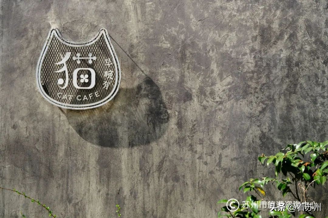 猫咖啡店图鉴_猫镇咖啡馆第二集_猫咖啡店游戏系列