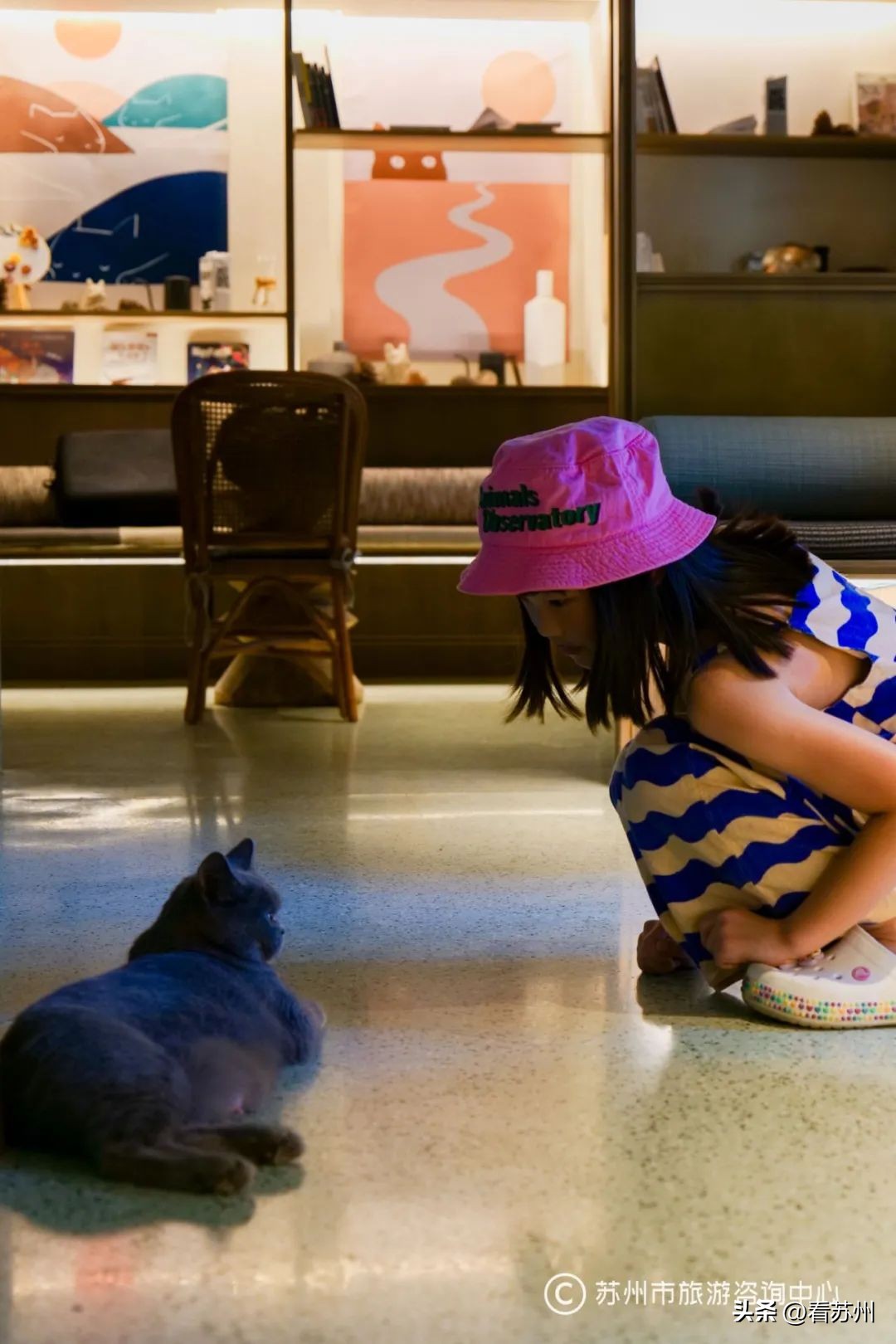 猫镇咖啡馆第二集_猫咖啡店图鉴_猫咖啡店游戏系列