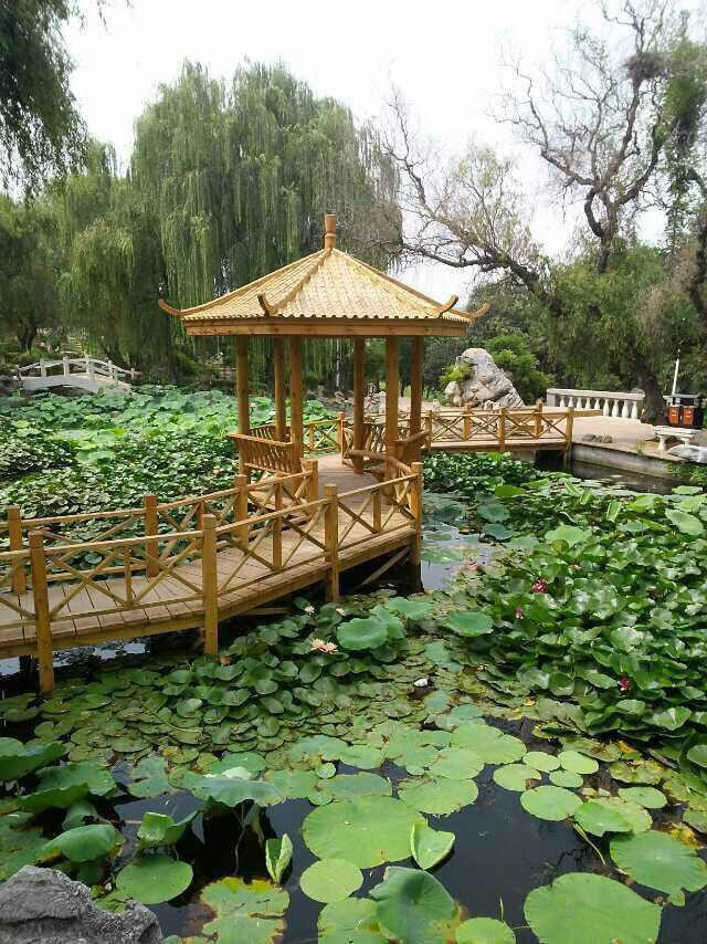 郑州西边好吃的餐厅_郑州西餐厅哪家好_郑州好的西餐厅
