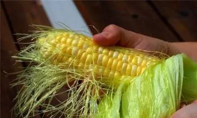 过滤咖啡的纸_咖啡过滤纸_咖啡过滤纸是什么纸