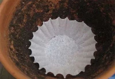 过滤咖啡的纸_咖啡过滤纸是什么纸_咖啡过滤纸