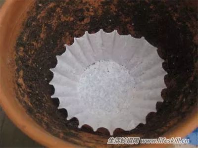 咖啡过滤纸_过滤咖啡纸制作_咖啡过滤纸的使用方法