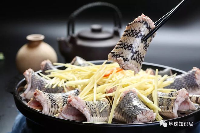 潮汕奇怪的美食_广东潮汕奇怪美食_广东奇葩美食