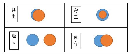 辍学在家无聊_辍学生活_辍学家庭主妇日常