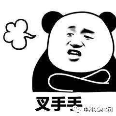 白玥电竞游戏_小玥玥电竞_云玥电竞小说