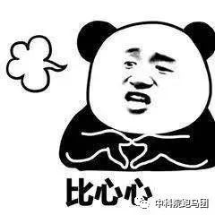 小玥玥电竞_云玥电竞小说_白玥电竞游戏