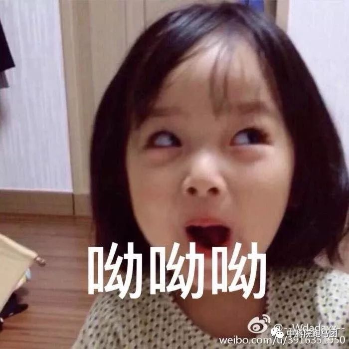 云玥电竞小说_小玥玥电竞_白玥电竞游戏