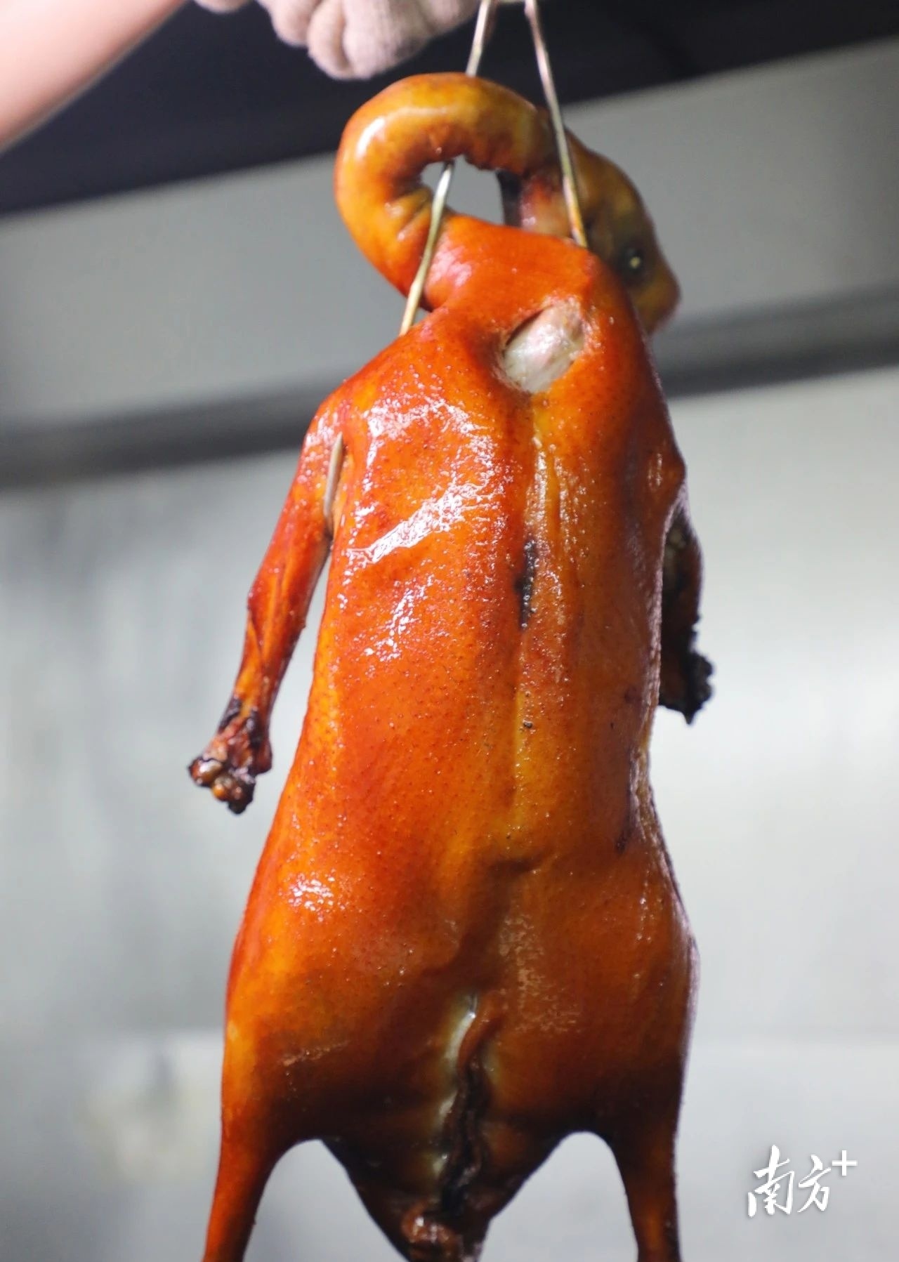 港式烧鹅多少钱一只_港式烧鹅饭图片_港式茶餐厅烧鹅一分多少钱
