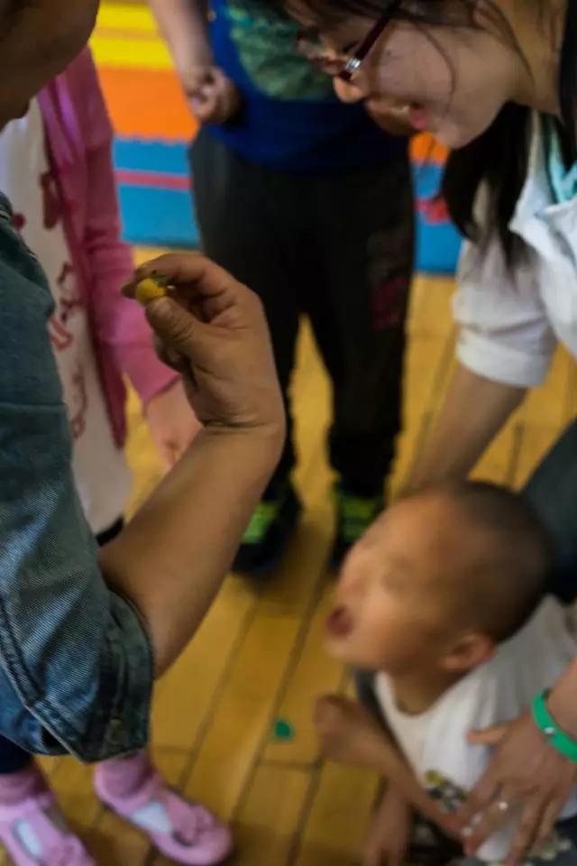 生活常识培养_培智生活常识训练_生活常识培训内容