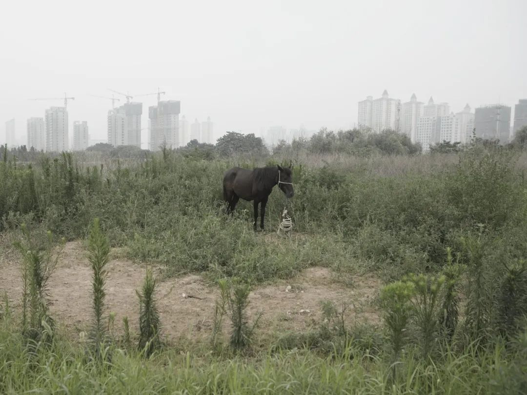 上海室内婚纱照_上海学习咖啡馆婚纱照_拍婚纱照上海