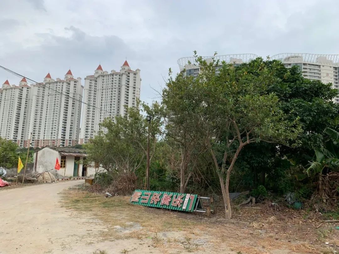 大梅沙潮汕美食_大梅沙的美食_美食潮汕大梅沙怎么做