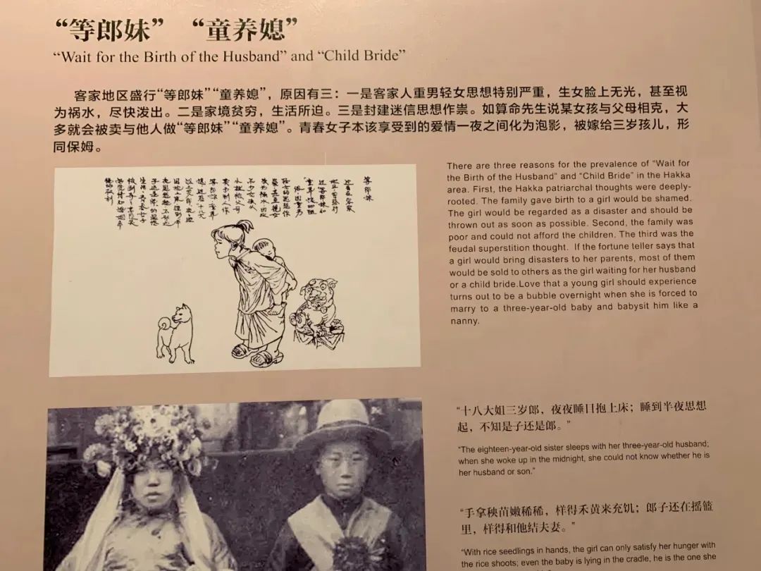 大梅沙潮汕美食_大梅沙的美食_美食潮汕大梅沙怎么做