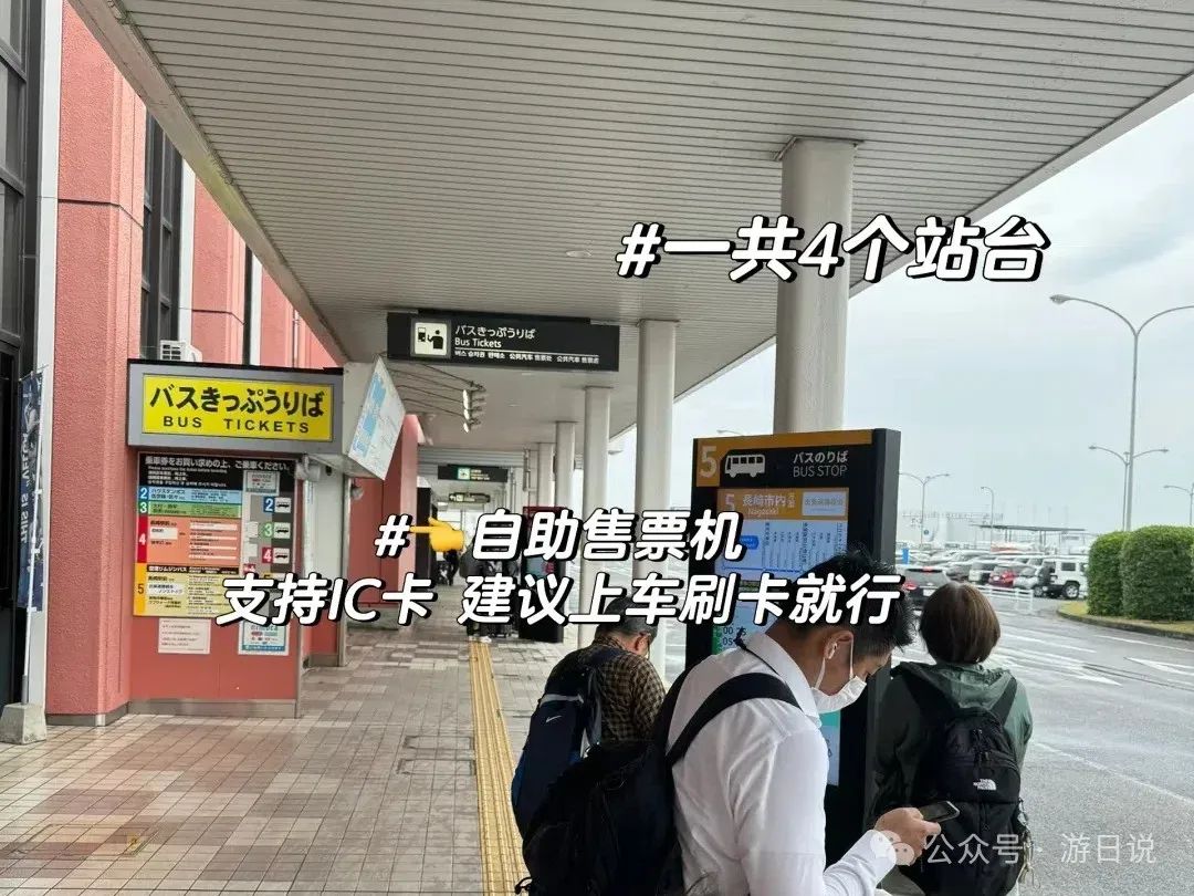 神户美食推荐_郑州德化美食美食推荐_武汉美食推荐