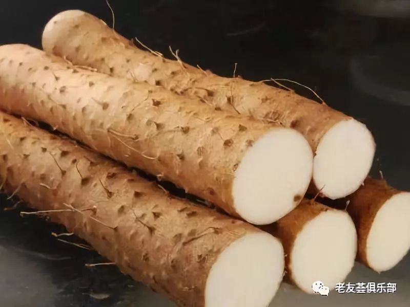 生活小技巧山药去皮_去皮山药怎么吃_去皮山药怎么做好吃