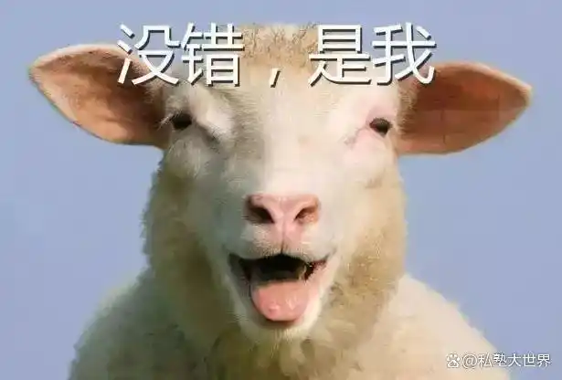 新西兰生活知乎_新西兰日常生活视频_新西兰生活小窍门