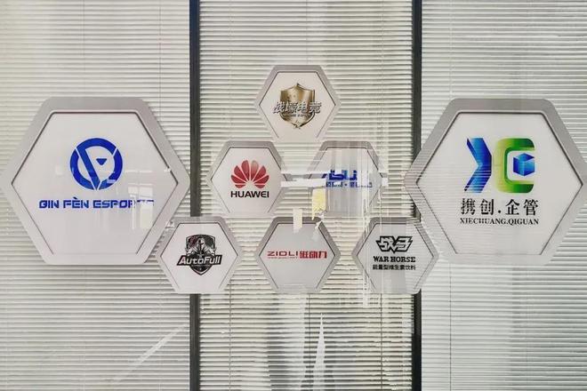 电竞实训课_电竞实训是什么意思_电竞实训总结