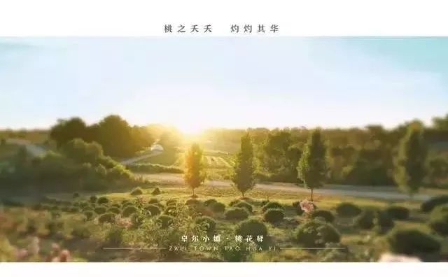 桃花创业故事在线听_桃花创业故事视频_桃花故事创业