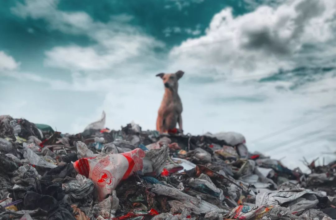 腐蚀的触发效果_腐蚀技能怎么触发_腐蚀生活心法技能