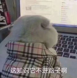 腐蚀的触发效果_腐蚀生活心法技能_腐蚀技能怎么触发