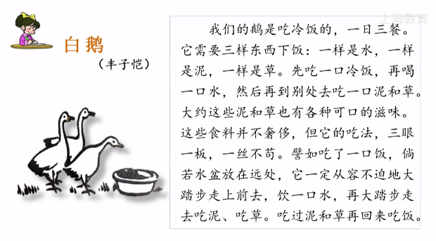 动物趣事30字_动物生活趣事多作文_关于动物生活趣事片段