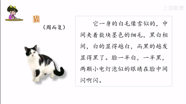动物趣事30字_动物生活趣事多作文_关于动物生活趣事片段