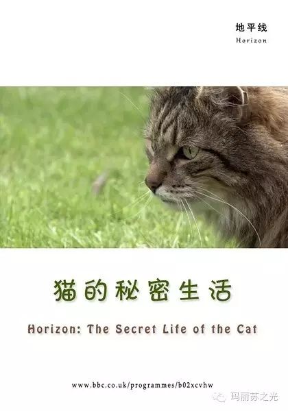 动物生活趣事多作文_关于动物趣事的片段_关于动物生活趣事片段