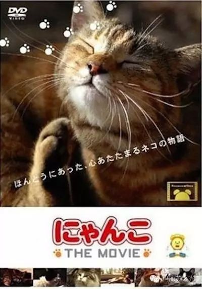 关于动物趣事的片段_关于动物生活趣事片段_动物生活趣事多作文