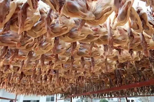 安徽霍邱美食_安徽六安霍邱的美食_霍邱美食节