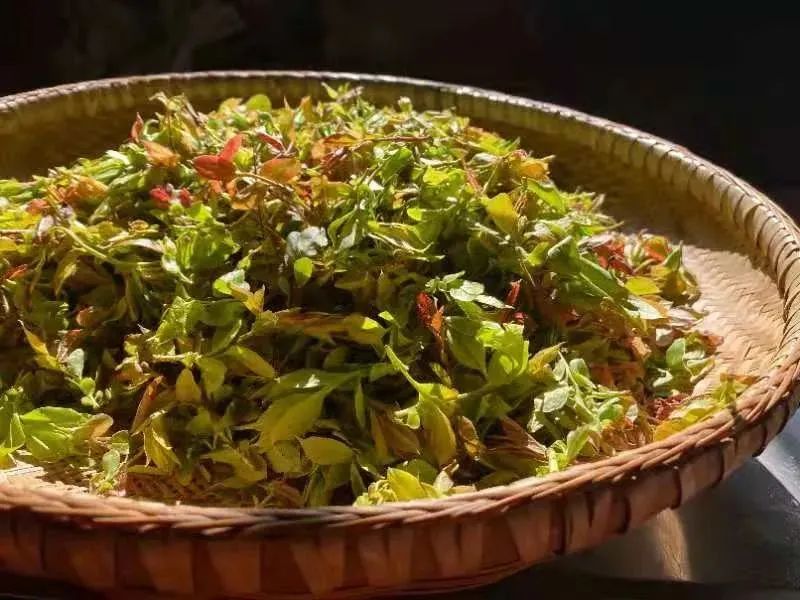 宁波美食有哪些_美食宁波_宁波美食一条街