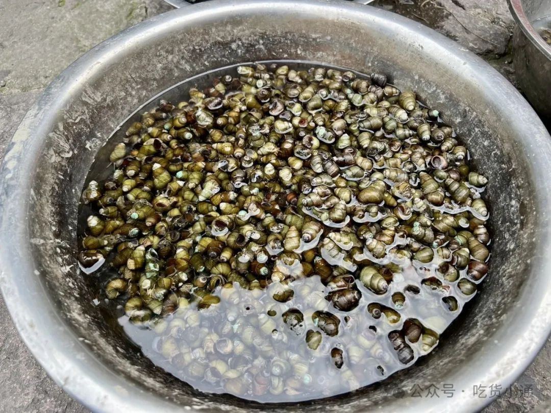 美食宁波_宁波美食推荐必吃_宁波美食一条街