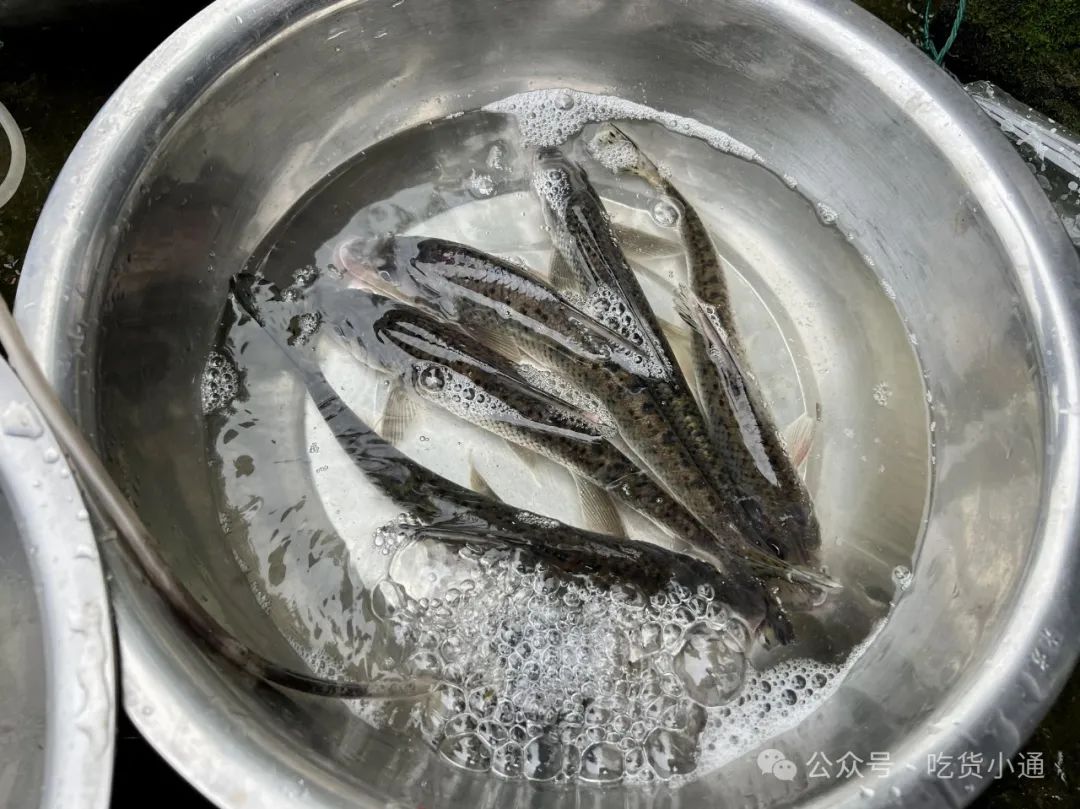 美食宁波_宁波美食推荐必吃_宁波美食一条街