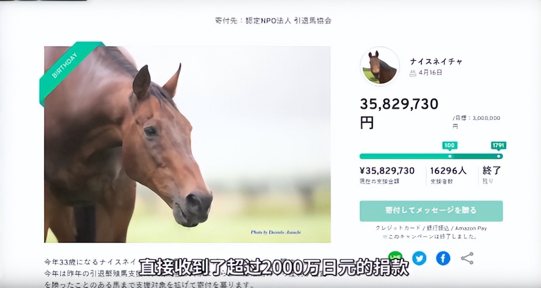 帝王电竞工作室_帝王电竞座椅是杂牌吗_帝王电竞