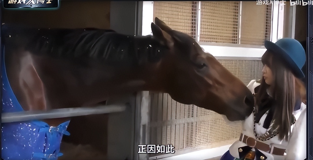 帝王电竞_帝王电竞座椅是杂牌吗_帝王电竞工作室