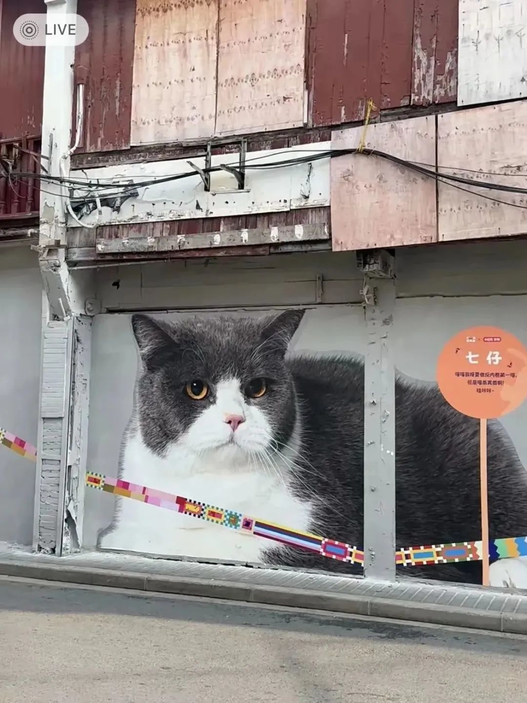 体验生活的方式有很多种_体育生活方式概念_生活方式体