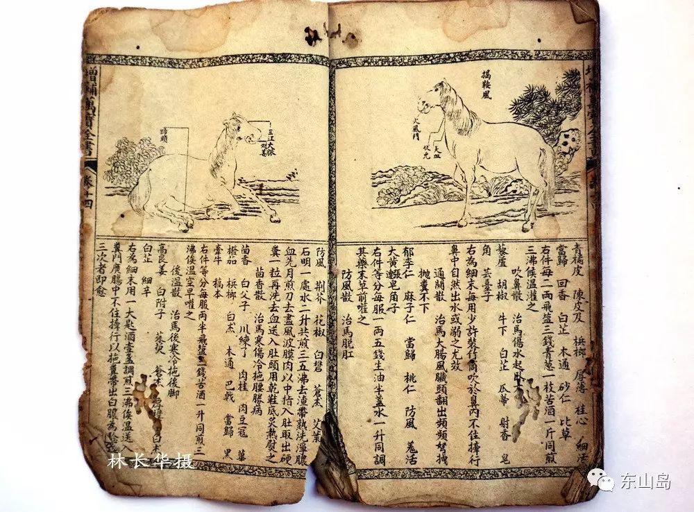 真言宗全书百科_维基百科自由全书_玲珑生活百科全书